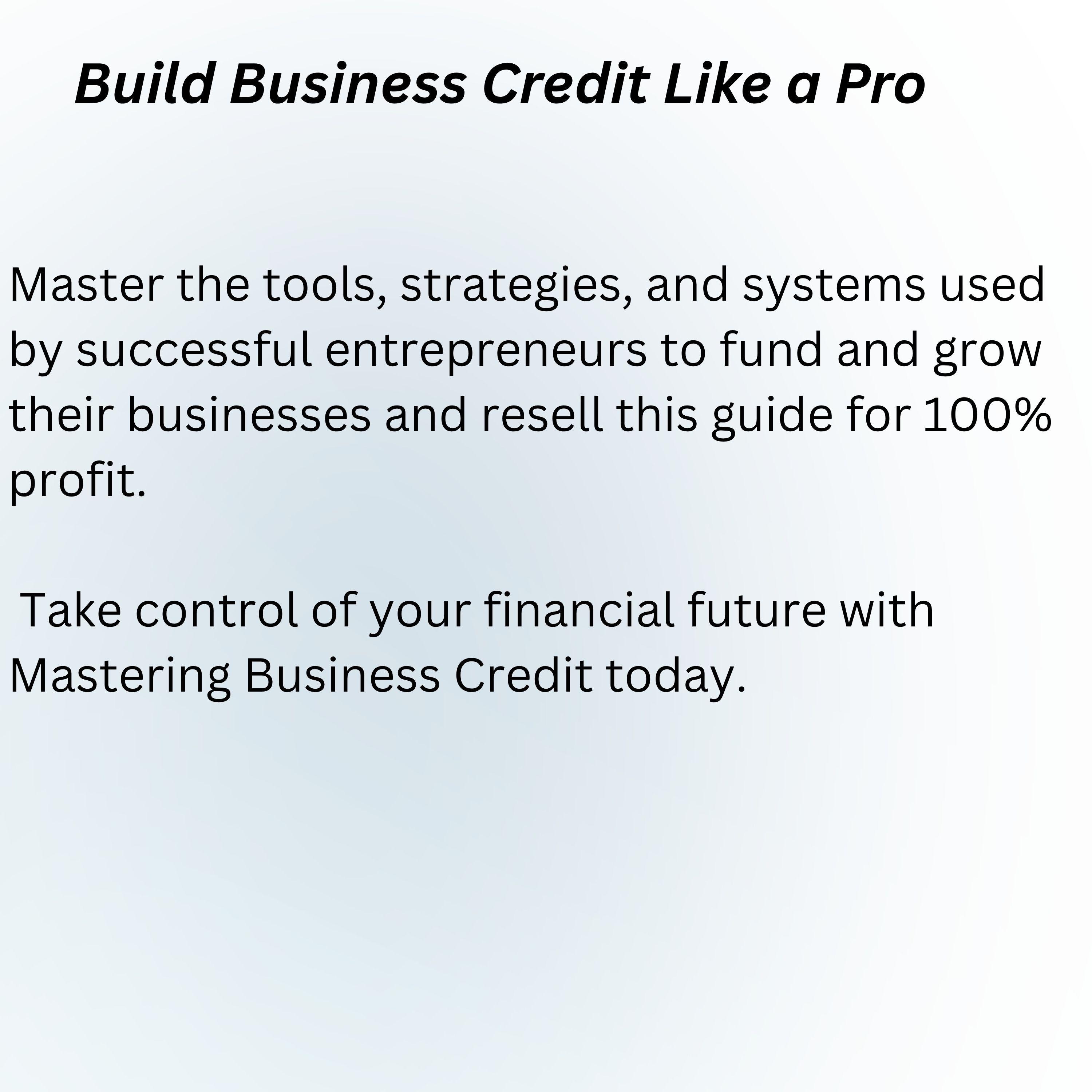 Business Credit Guide Ebook Template: Build Corporate Credit Fast ...