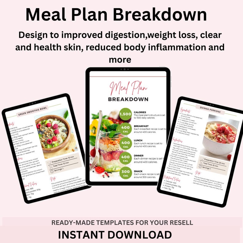 28 Tage - 4 Wochen Detox Speiseplan, PLR, MRR, Low Carb Speiseplan, Abnehmplan, Gesundes Abnehmen Speiseplan, Rezepte, Printable, DFY Bild 2