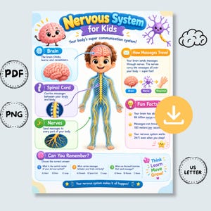 Op de afbeelding: Een educatieve poster getiteld Nervous System for Kids met een centrale illustratie van een kind met een zichtbaar zenuwstelsel, diagrammen van de hersenen, ruggengraat en zenuwen, leuke weetjes en een quizgedeelte met Engelse tekst.