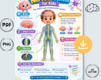 May include: An educational poster titled Nervous System for Kids featuring a central illustration of a child with a visible nervous system, diagrams of the brain, spinal cord, and nerves, fun facts, and a quiz section with text in English.