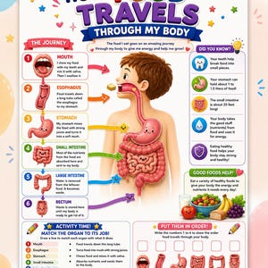 Könnte beinhalten: Ein Lehrplakat mit dem Titel How Food Travels Through My Body, das eine zentrale Abbildung eines menschlichen Torsos mit Verdauungsorganen zeigt. Es enthält nummerierte Schritte vom Mund bis zum Rektum, Fakten und Lernaktivitäten.
