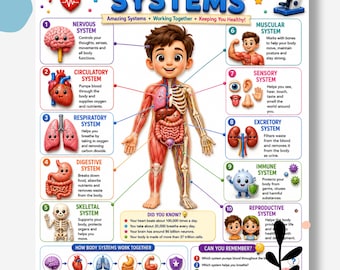 May include: An educational poster titled Human Body Systems featuring a central cartoon illustration of a child with internal organs and skeletal structure visible. Ten numbered sections describe systems including nervous, circulatory, respiratory, digestive, skeletal, muscular, sensory, excretory, immune, and reproductive.