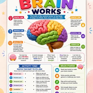 Póster de anatomía cerebral para niños / Tabla de partes y funciones (Descarga digital)