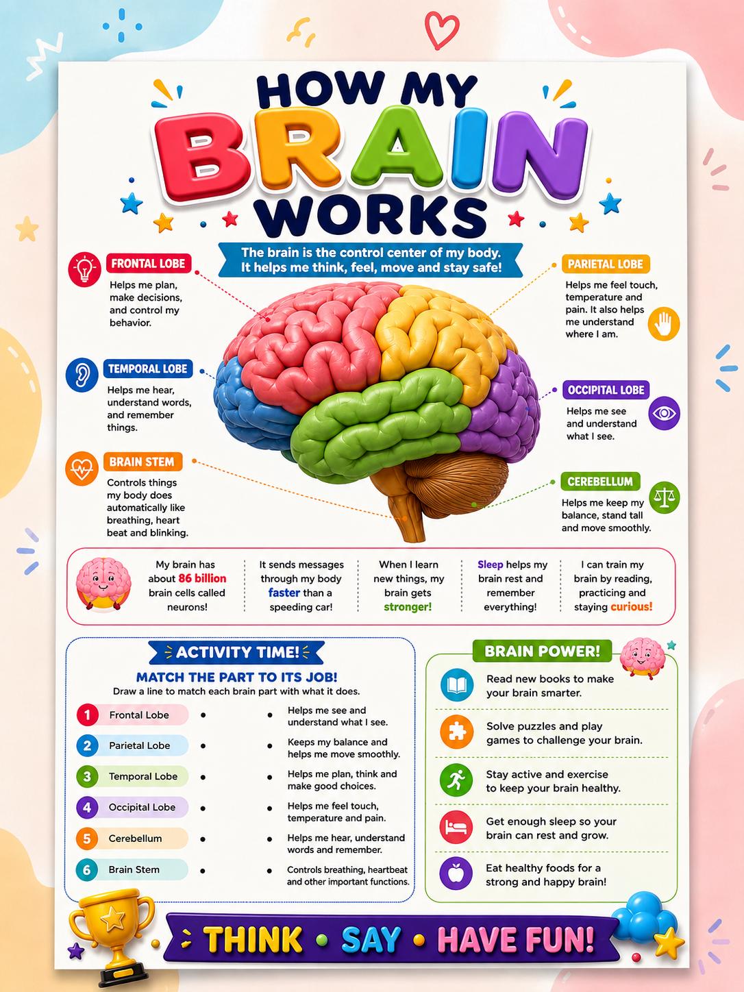 Kids Brain Anatomy Poster Parts & Functions Chart (Digital Download)