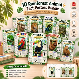 Könnte beinhalten: Ein Set aus 10 pädagogischen Regenwald-Tier-Faktenpostern für Kinder mit Illustrationen von Faultier, Jaguar, Pfeilgiftfrosch, Anakonda, Chamäleon, Ara, Tukan, Orang-Utan und Wasserschwein, ergänzt durch Text und Symbole.