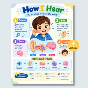 May include: An educational poster titled How I Hear with a cartoon child, diagrams of the ear and brain, and text explaining sound waves. It includes sections on how sound travels and a quiz section labeled Can You Remember with multiple choice questions.