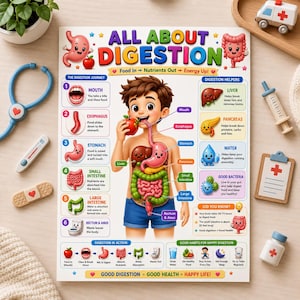 May include: An educational poster titled All About Digestion featuring a central illustration of a child with visible internal organs. The chart details the digestive process from mouth to rectum with colorful diagrams, labels, and health facts.