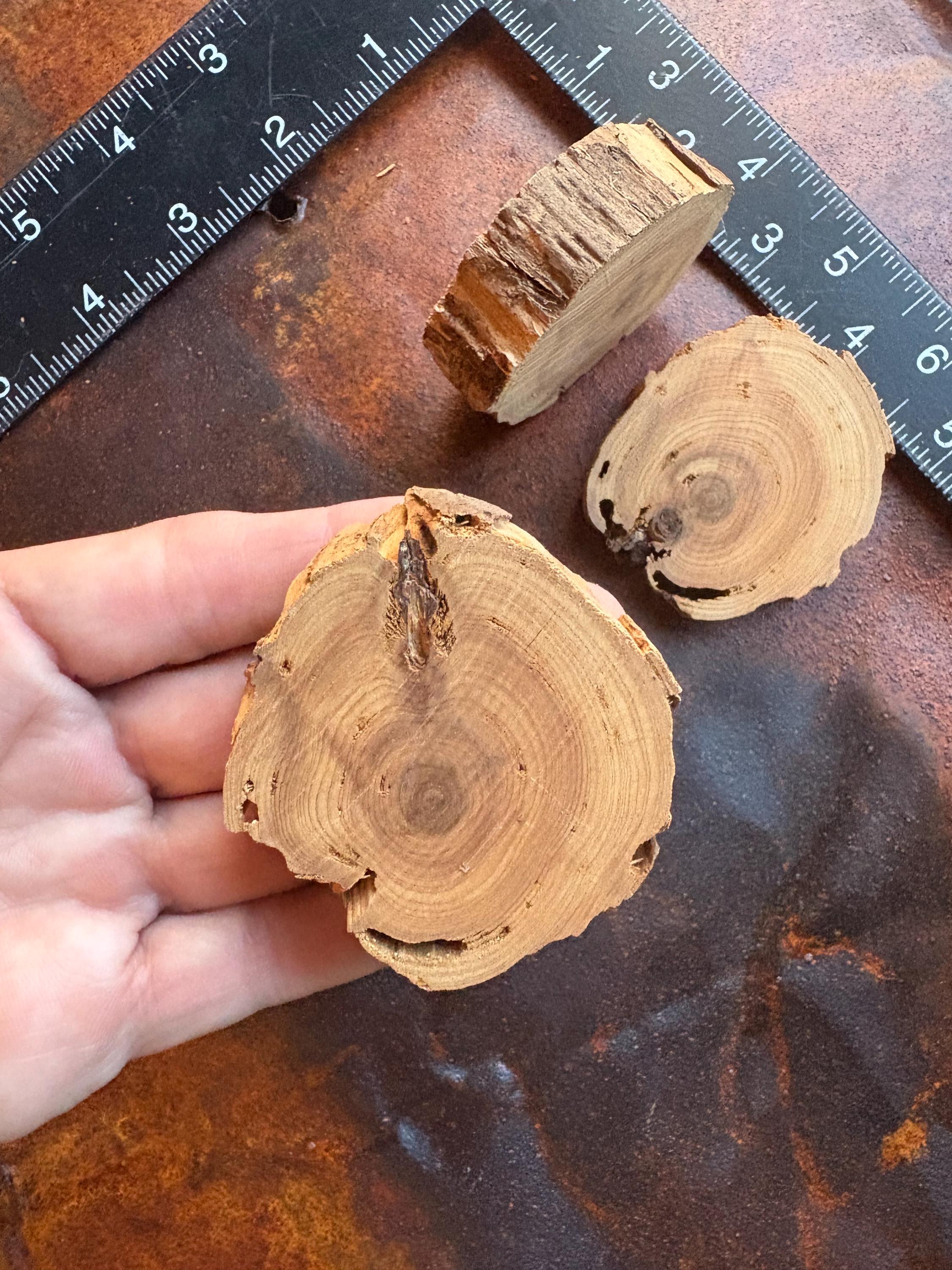 3 Sliced, Live Edge Cedar Rounds - Etsy