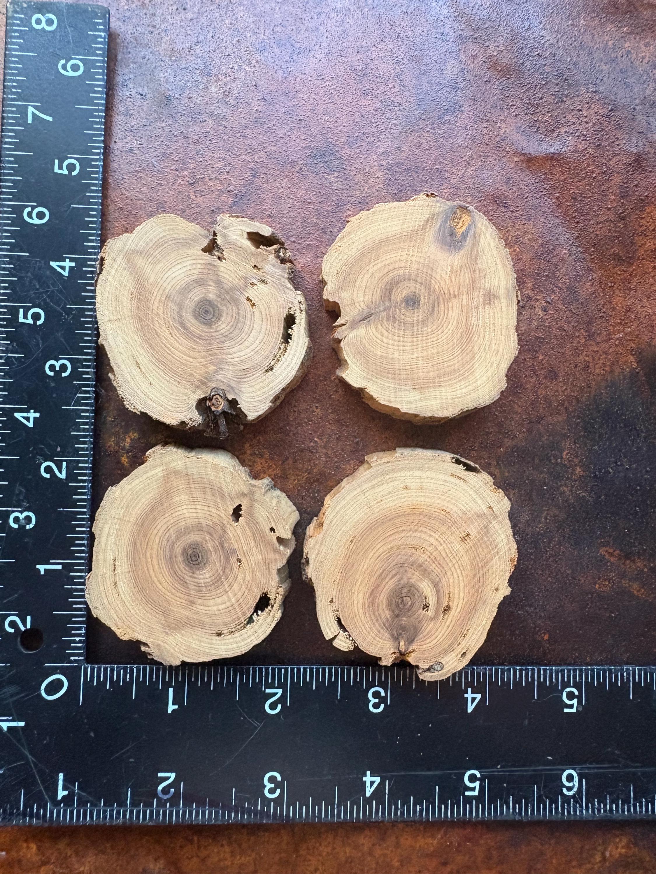 4 Sliced, Live Edge Cedar Rounds - Etsy