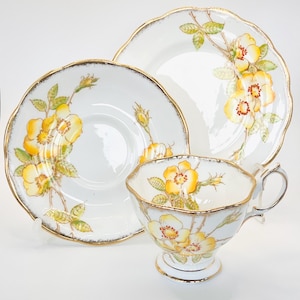 Royal Albert Wild Rose Mönster 2774 Vintage Benporslin Te Trio Kopp Fat Tallrik England