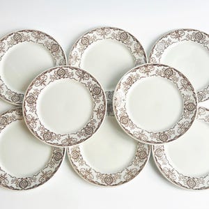 May include: Eight white ceramic plates with a brown floral border. The plates are arranged in a circular pattern, highlighting the decorative design. Each plate is suitable for a vintage or antique-themed table setting.