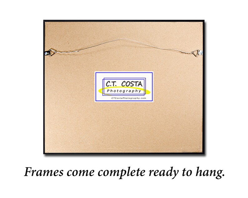 May include: The back of a framed picture with a brown cardboard backing. The frame is black and has a wire hanger attached. A small white label with blue text reads "C.T. COSTA Photography CTCostaPhotography.com". The text "Frames come complete ready to hang." is printed below the image.