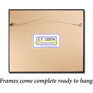 May include: The back of a framed picture with a brown cardboard backing. The frame is black and has a wire hanger attached. A small white label with blue text reads "C.T. COSTA Photography CTCostaPhotography.com". The text "Frames come complete ready to hang." is printed below the image.