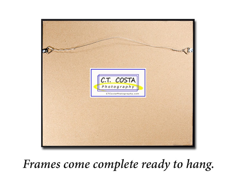 May include: The back of a framed picture with a brown cardboard backing. The frame is black and has a wire hanger attached. A small white label with blue text reads "C.T. COSTA Photography CTCostaPhotography.com". The text "Frames come complete ready to hang." is printed below the image.