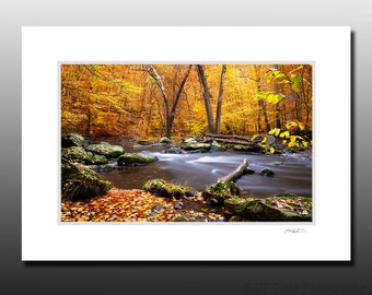 Autumn Scene Photo, Small Matted Print, Fall Leaves and Stream, Small Wall Art, Stocking Stuffer gift, Sized to Fit 5x7 inch Frame