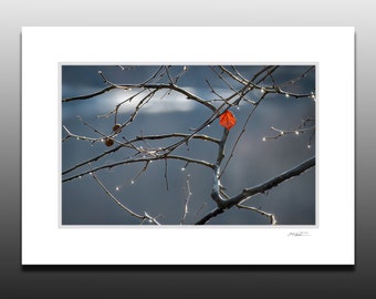 Autumn Leaf Photography, Fall Colors, Raindrops, Small Art Gifts, Small Matted Print Fits 5x7 inch Frame