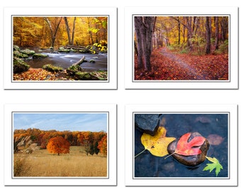 Autumn Themed Photo Notecards Includes Envelopes, Photography Cards, Blank Greeting Card, Thank You Card, blank note cards