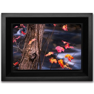 Autumn Foliage Landscape Photography Metal Print, Fall Themed Decor, Red and Yellow Leaves,  Ready to Hang Handmade Wood Frames