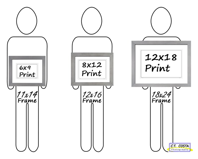 May include: A comparison of three different sizes of framed prints. The prints are 6x9 inches, 8x12 inches, and 12x18 inches. The frames are 11x14 inches, 12x16 inches, and 18x24 inches.