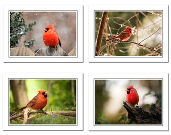 Red Cardinal Photo Note Card Includes Envelope, Bird Photography Card, Blank Greeting Card, Thank You Card, blank note cards