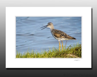 Stone Harbor Shorebird Themed Small Matted Photography Print, Sandpiper Bird, Avian Enthusiast Gift, Cape May NJ Birds, Fits 5x7 inch Frame