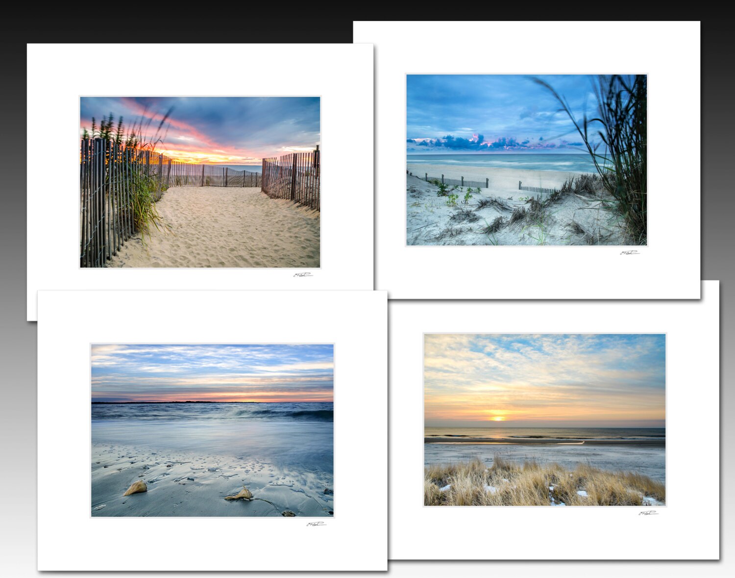 8x10 Matted Prints, Beach Sunrise Collection, Set of Four Matted Prints