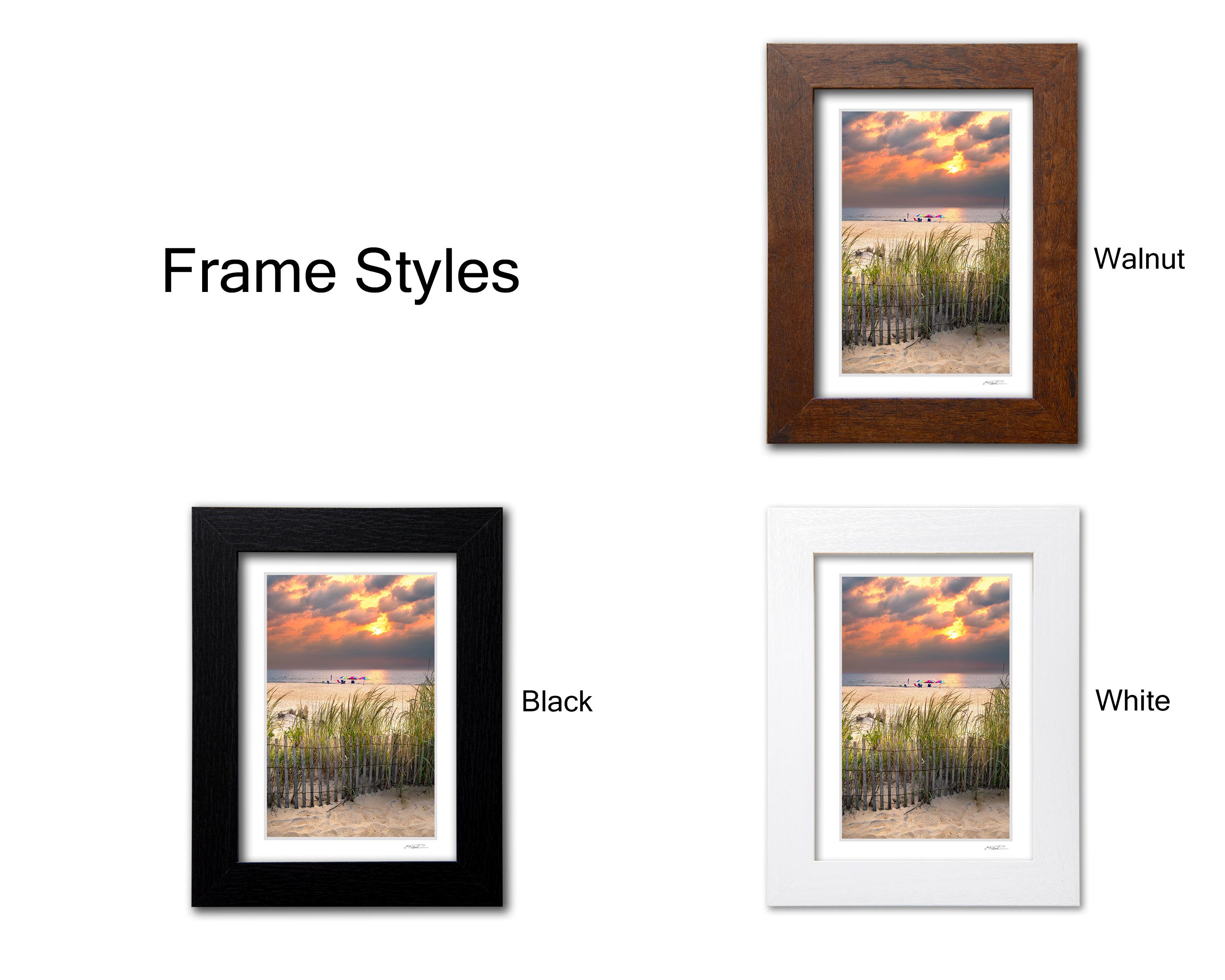 Bethany Beach Sunrise Photo With Beach Umbrellas and Sand Dune Fence ...