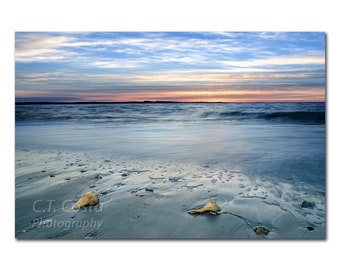 Beach Sunrise with Conch Shells, Ocean Coastline, Sunrise Photography, Blue and Orange wall art