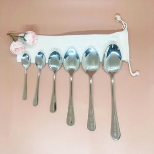 May include: A set of six stainless steel spoons of varying sizes, arranged in a row. Each spoon is labeled with a different purpose, including "Ice cream spoon", "Dinner Spoon", and "Curry Club Spoon". The spoons are displayed against a pink background.