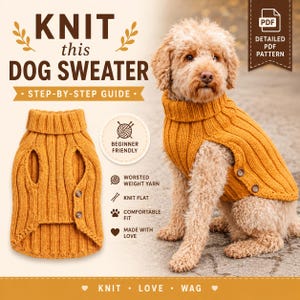 May include: An image of a golden-colored dog sweater with a ribbed design and button closures. The text "KNIT this DOG SWEATER" is displayed above the sweater, along with other text indicating it is a step-by-step guide and beginner-friendly.