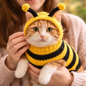 Può includere: Un gatto rosso e bianco con un costume da ape a righe gialle e nere. Il costume include un cappuccio con antenne nere e pompon. Il gatto è tenuto in braccio da una persona che indossa un maglione rosa.