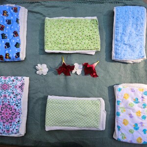 May include: An assortment of baby cloth diapers in various patterns and colors, including blue with teddy bears, green with polka dots, and a floral design. The diapers are arranged on a green surface with flowers.