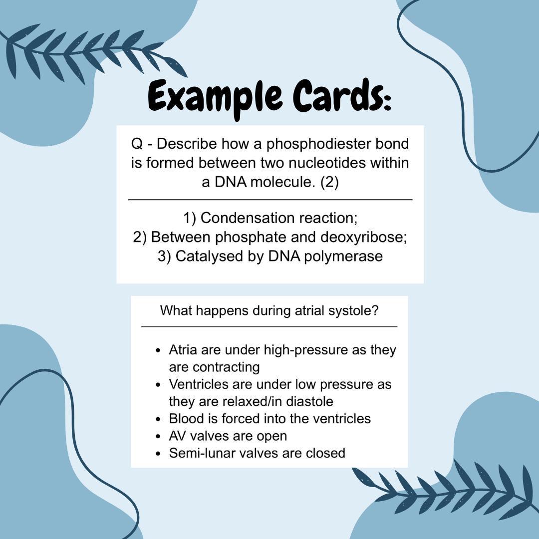 AQA A Level Biology Anki Flashcards: Exam Revision (anki App Download ...