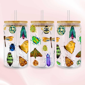 Könnte beinhalten: Drei transparente Trinkgläser mit Bambusdeckeln und Strohhalmen. Jedes Glas ist mit farbenfrohen Illustrationen verschiedener Insekten verziert, darunter Käfer, Schmetterlinge und Libellen. Der Hintergrund ist ein zartes Rosa.