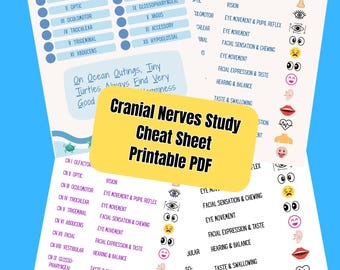 Cranial Nerves Study Guide Visuals Printable PDF/Healthcare Students/Nursing School/Anatomy and Physiology