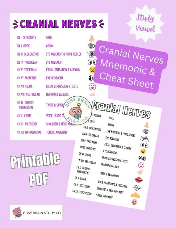 Cranial Nerves Mnemonics Cranial Nerves Nursing School Tips Dental