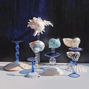 May include: A collection of decorative stands featuring clear and blue glass stems with various seashell bases and tops. The arrangement includes a large spiky white shell, a blue-tinted spiral shell, and a black and white patterned shell.