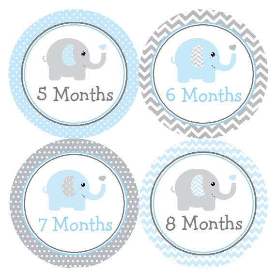 Baby Boy Monthly Stickers Baby Milestone Stickers Baby Month Etsy
