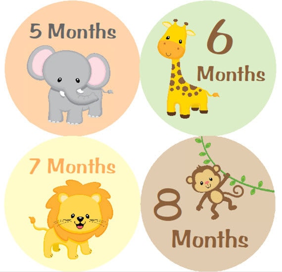 MULTI PATTEREN MONTHLY BABY STICKERS