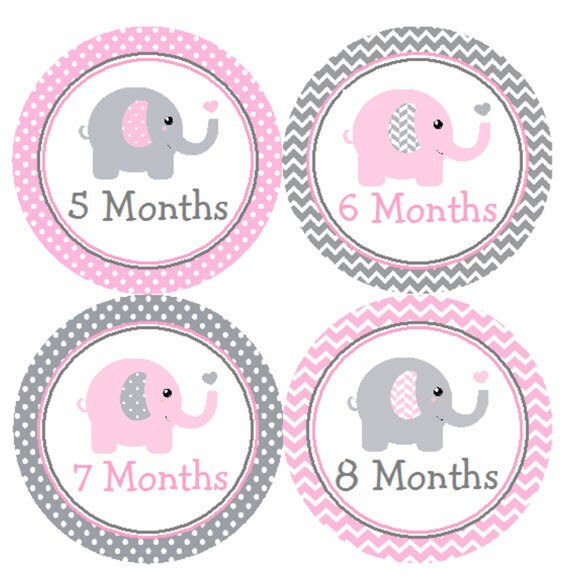 Baby month stickers girl cheap