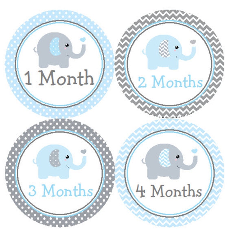 Baby Boy Monthly Stickers Baby Milestone Stickers Baby Month Etsy