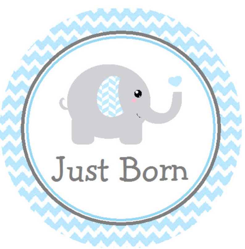 Baby Boy Monthly Stickers Baby Milestone Stickers Baby Month Etsy