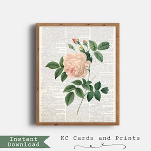 Botanical Print, Rose Print, Vintage Wall Art, Farmhouse Decor, Digital File, Instant Download