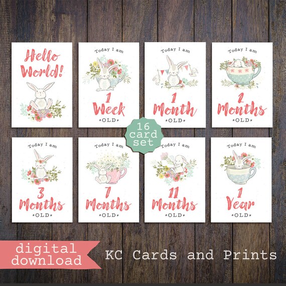 baby milestone cards etsy
