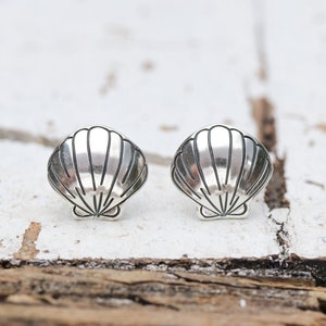 May include: A pair of silver shell stud earrings. The earrings are small and delicate, and they feature a simple, elegant design.