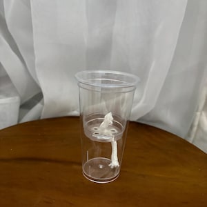 Puede incluir: Un inserto de plástico transparente para macetas de autorriego con un diseño de copa cilíndrica, base perforada y una mecha de algodón blanco grueso insertada en el centro para la hidratación de las plantas.