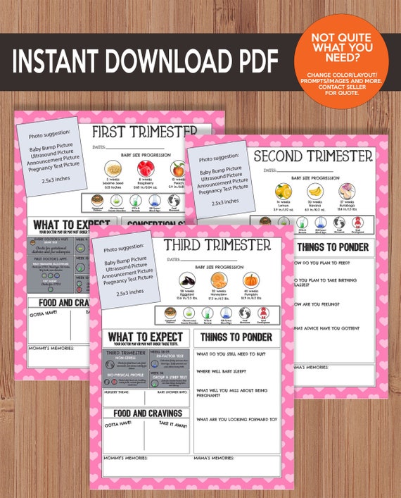 Printable Pregnancy Journal - Pink Hearts - LGBT, Same Sex Parents, Pregnancy Planner, Adopted, IVF, IUI, Frozen Embryo, Conception Il_570xn