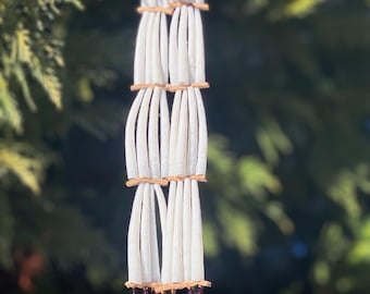 Dentalium & Albalone Shell Earrings