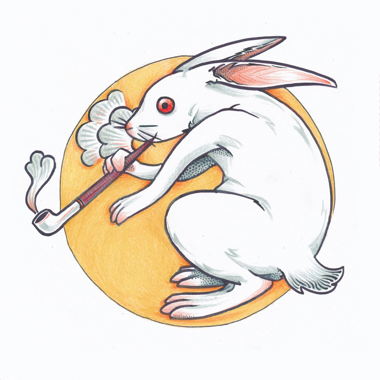 Заяц курит картинка