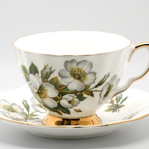 Vintage Royal Adderley Dogwood Teacup and Saucer: Fine Bone China, England